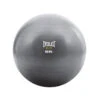 Everlast 55cm Fitball -World Fitness 1 ProductsEverlast65cmFitball 1