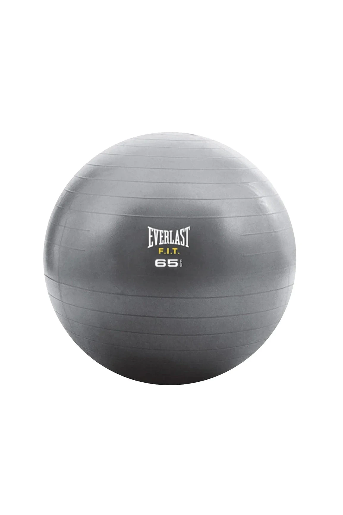 Everlast 55cm Fitball 3 Everlast 55cm Fitball