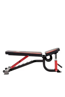 Everlast Adjustable FID Bench -World Fitness 10EverlastAdjustableFIDBench