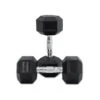 30kg Body Iron Commercial Rubber Hex Dumbbell Pair -World Fitness 12.5kgBodyIronCommercialRubberHexDumbbellPair 5804bf04 79e5 4202 8127 a91cbe81f94c