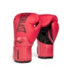 Everlast Elite2 Boxing Gloves