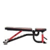 Everlast Adjustable FID Bench 2 Everlast Adjustable FID Bench -World Fitness 1EverlastAdjustableFIDBench