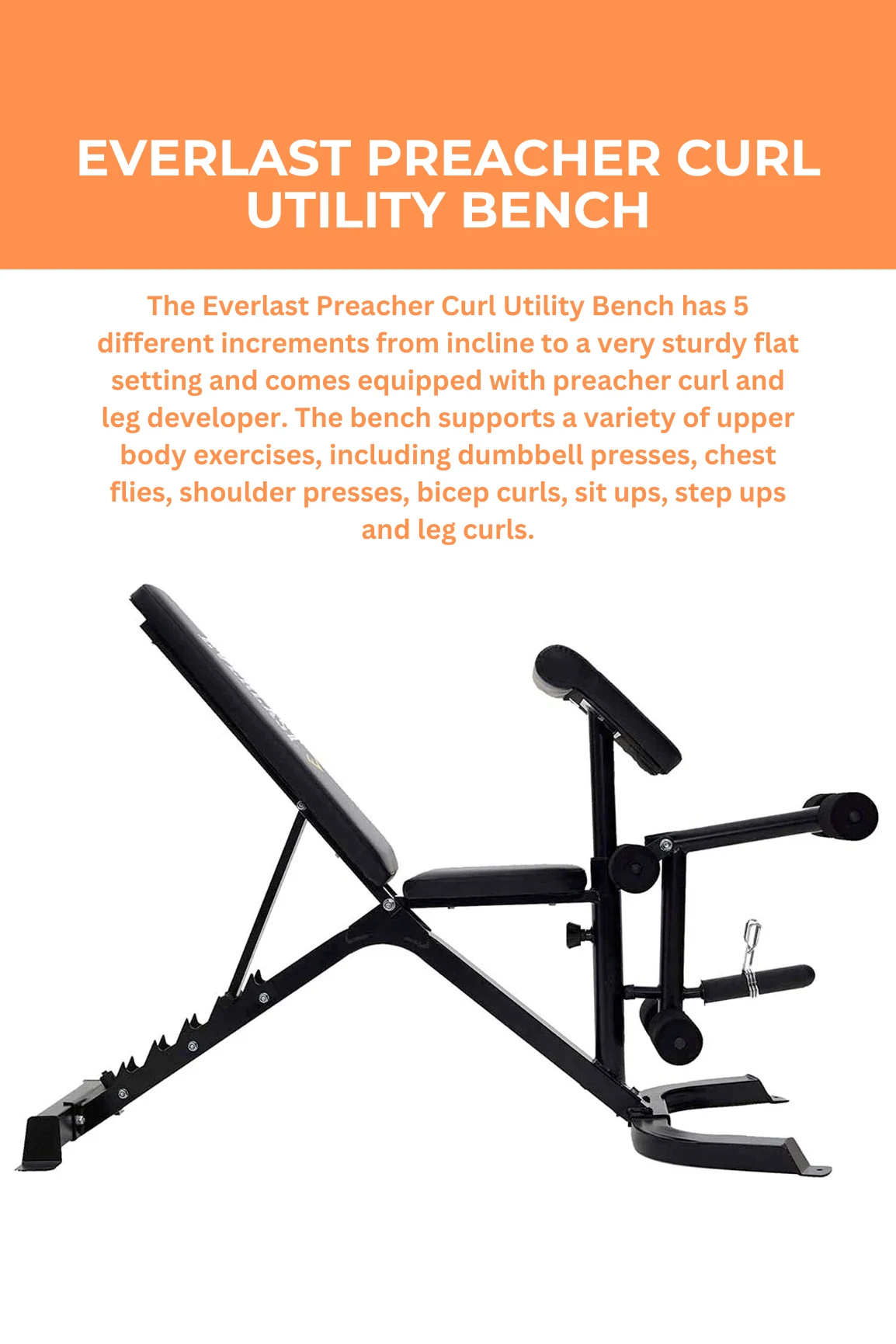 Everlast Preacher Curl Utility Bench 4 Everlast Preacher Curl Utility Bench - Image 2