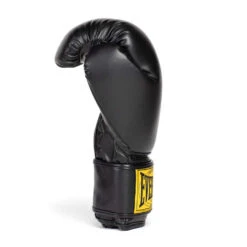 Everlast 1910 Boxing Glove 19 Everlast 1910 Boxing Glove -World Fitness 1 black hi resge