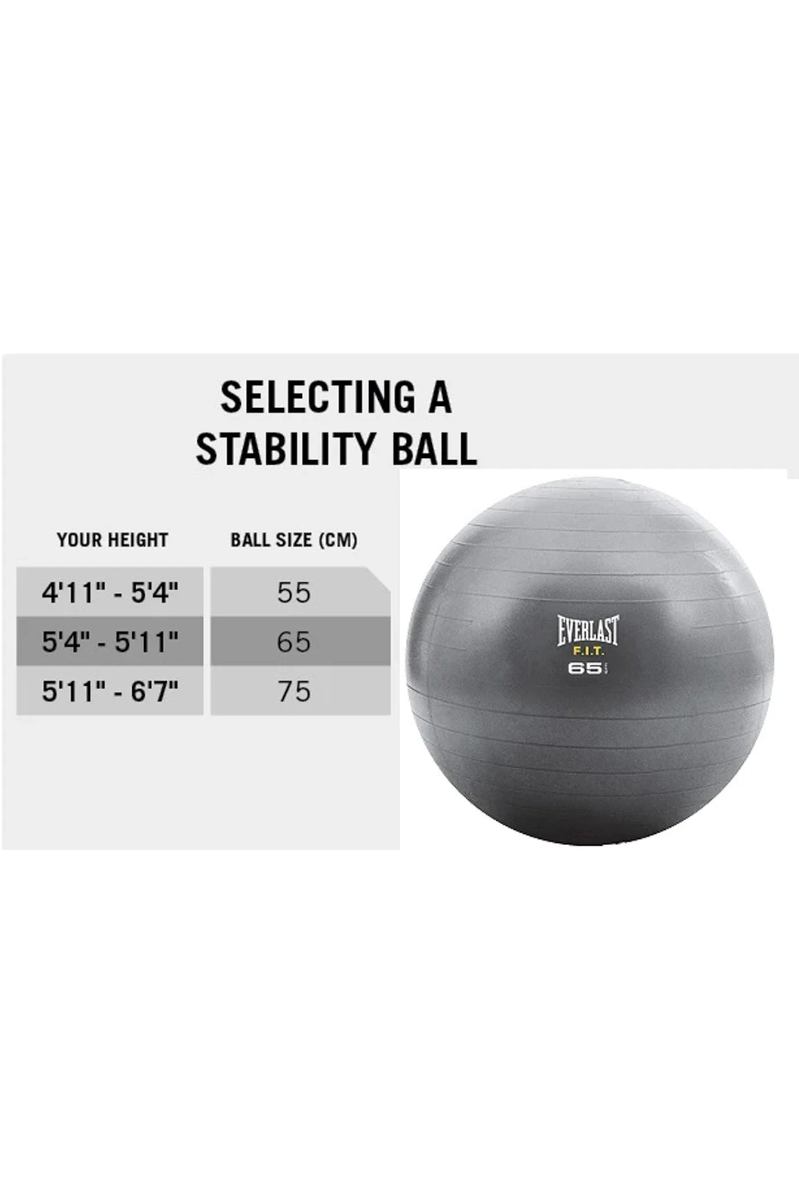 Everlast 55cm Fitball 4 Everlast 55cm Fitball - Image 2