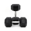 22.5kg Body Iron Commercial Rubber Hex Dumbbell Pair