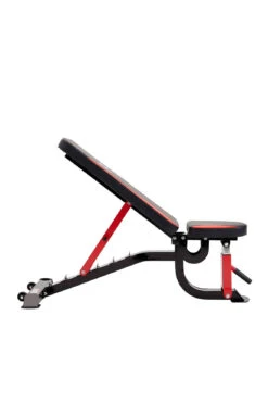 Everlast Adjustable FID Bench -World Fitness 2EverlastAdjustableFIDBench