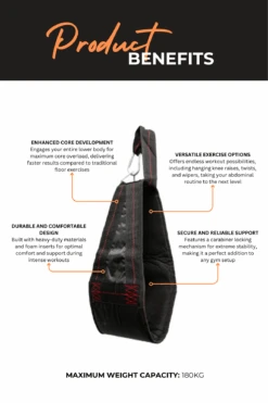 Body Iron Hanging Ab Straps 11 Body Iron Hanging Ab Straps -World Fitness 2 631a3cf7 490e 4064 9742 b7a0e93c8141