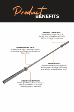 Body Iron 7ft Bronze Commercial Olympic Barbell 15 Body Iron 7ft Bronze Commercial Olympic Barbell -World Fitness 2 808e4bab 81cd 42f9 9de3 2c31ffe97696