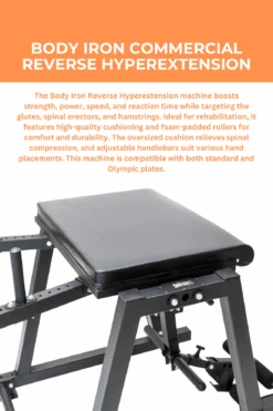 Body Iron Commercial Reverse Hyperextension -World Fitness 2 a32b4ded 1c7e 4f6d bbc4 8e175f2cc9c9
