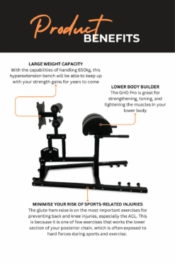 Body Iron Commercial Glute Ham Developer GHD Pro 24 Body Iron Commercial Glute Ham Developer GHD Pro -World Fitness 3 94d787b3 702b 4eae ba5d 81a1720fca3c