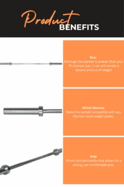Body Iron Commercial 5ft Olympic Barbell -World Fitness 3 baa6e2af 1b7c 4262 b248 c1ff26ea2abb