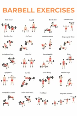 Body Iron 7ft Titan Commercial Olympic Barbell Rated 1500lbs -World Fitness 4 8e8f367f be45 41aa 8d27 5df1c1fbd37a 1