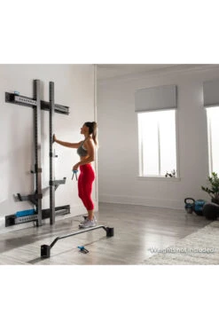 ProForm Foldable Wall Squat Rack Package V6 -World Fitness 5 ProFormCarbonStrengthFoldableWallSquatRack 4db520e1 aca0 48c8 9304 0c5e03dcaadc