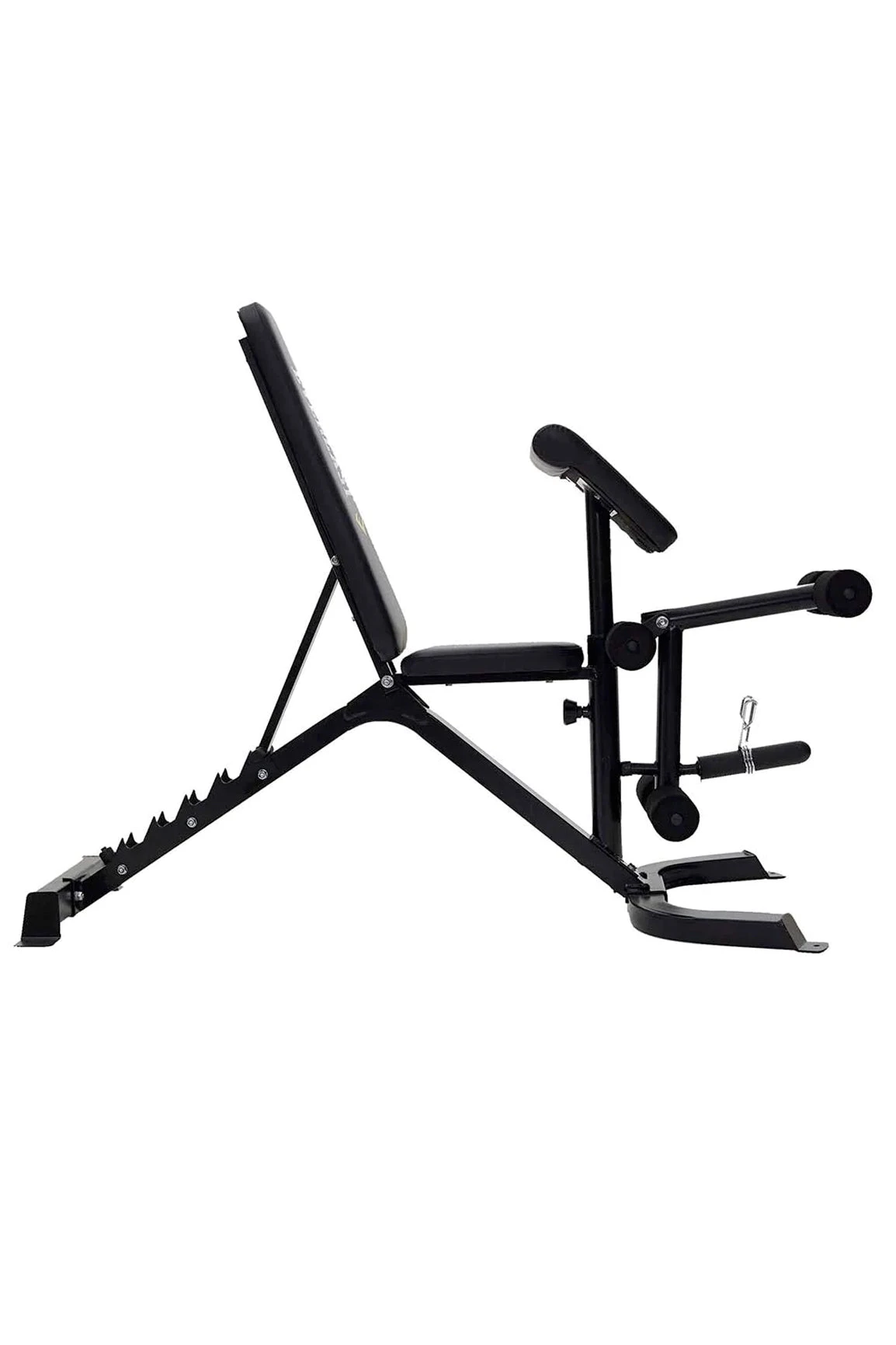 Everlast Preacher Curl Utility Bench 6 Everlast Preacher Curl Utility Bench - Image 4