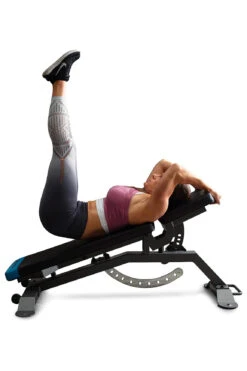 Proform Adjustable FID Bench 19 Proform Adjustable FID Bench -World Fitness 5ProformAdjustableFIDBench 1