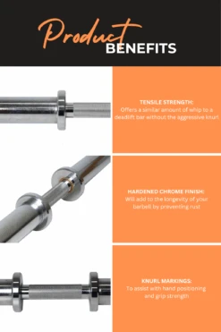 Body Iron Olympic Dumbbell Handle (Single) 12 Body Iron Olympic Dumbbell Handle (Single) -World Fitness 5 da8aff50 5174 4cc1 a9f7 f02e3f1175dc