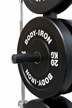 Body Iron Bumper Plate Tree -World Fitness 6 e9b3e4f3 0257 49aa 9f88 6bc52915ed1a