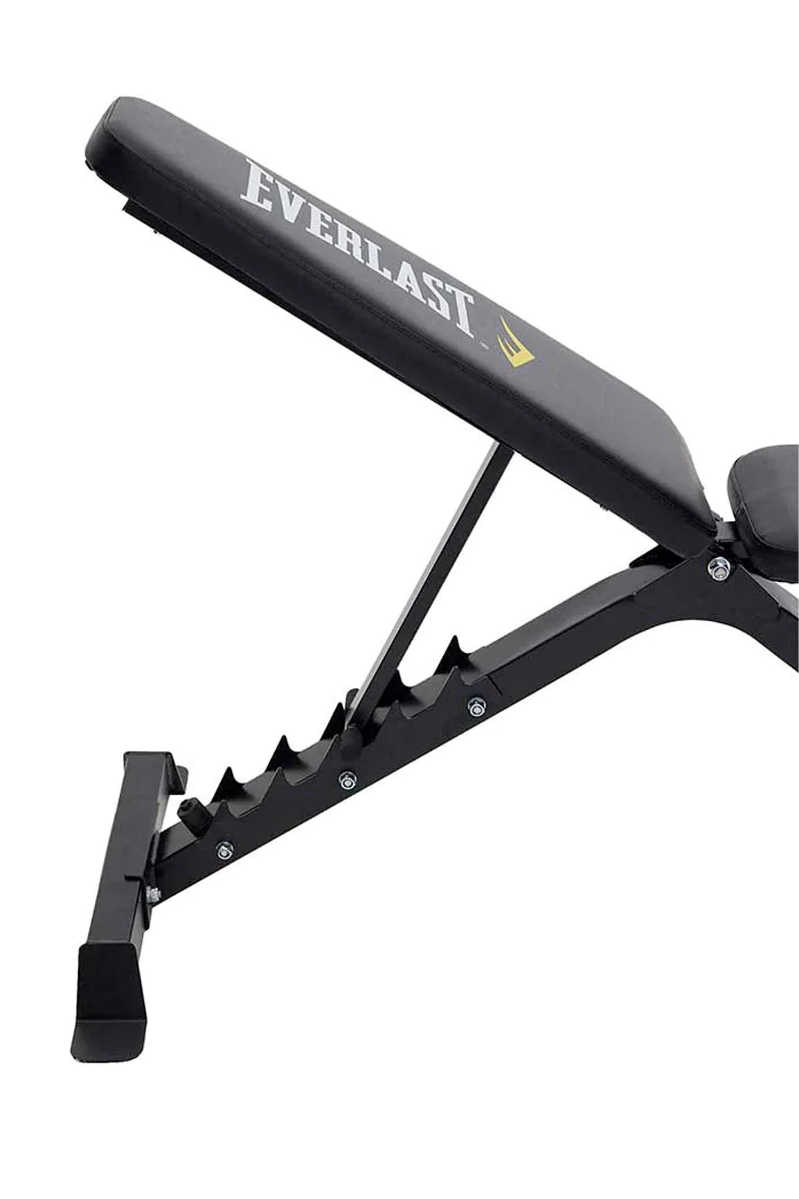 Everlast Preacher Curl Utility Bench 11 Everlast Preacher Curl Utility Bench - Image 9