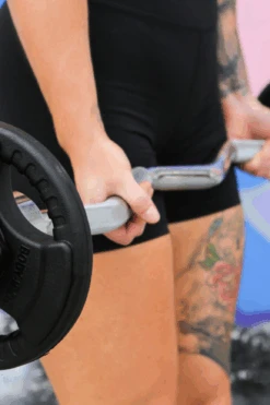 Body Iron Commercial Olympic Ez Curl Bar -World Fitness 8 095322ac ee4f 4f16 bfe6 8c4d75db8d80