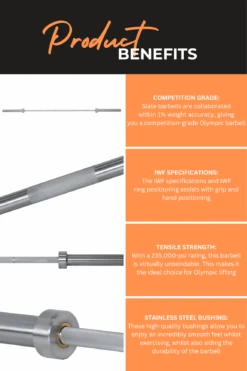 Body Iron 7ft Slate Commercial Olympic Barbell Rated 2000lbs -World Fitness BODYIRON7FTSLATECOMMERCIALOLYMPICBARBELLRATED2000LBS