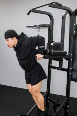 Body Iron All In One Boxing Stand & Power Tower -World Fitness BodyIronAllinOneBoxingStand PowerTower 3