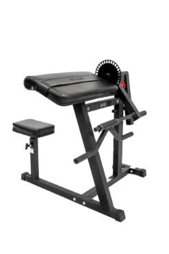 Body Iron Bicep Curl & Triceps Extension -World Fitness BodyIronBicepCurl TricepsExtension 2