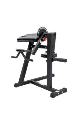 Body Iron Bicep Curl & Triceps Extension -World Fitness BodyIronBicepCurl TricepsExtension 4