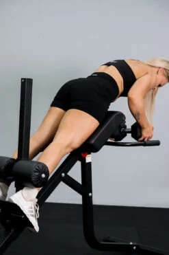 Body Iron Hyper Extension Roman Chair -World Fitness BodyIronHyperExtensionRomanChair 2