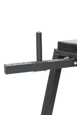 Body Iron Commercial Reverse Hyperextension -World Fitness BodyIronReverseHyperExtension 2