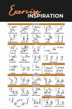 Body Iron Rising Pro Commercial Medicine Ball 4KG -World Fitness BodyIronRisingProCommercialMedicineBall 3