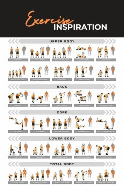 Body Iron Rising Pro Grade Competition Kettlebell 8kg 17 Body Iron Rising Pro Grade Competition Kettlebell 8kg -World Fitness BodyIronRisingProGradeCompetitionKettlebell 2