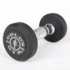Gold's Gym 2.5kg Rubber Dumbbell Pair -World Fitness GG RD 2.5KG 1 800x800 1