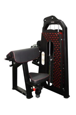 Body Iron Commercial Bicep / Tricep Curl Extension -World Fitness IMG 8178