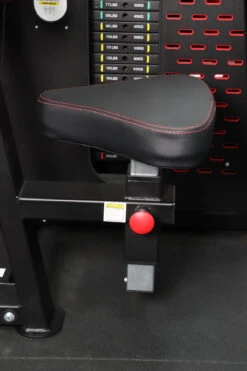 Body Iron Commercial Bicep / Tricep Curl Extension -World Fitness IMG 8180