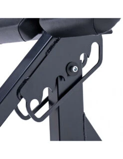 Body Iron Commercial Power Roman Chair -World Fitness IMG 9844