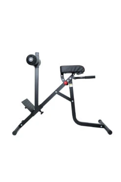 Body Iron Hyper Extension Roman Chair -World Fitness Untitled 3 16c52c3b a726 4cc5 b89f 0f51c76b5c9f