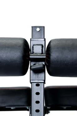 Body Iron Hyper Extension Roman Chair -World Fitness Untitled 6 b9c3b6ec c22b 41b0 8105 7a1dfa3c5c38