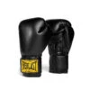 Everlast 1910 Boxing Glove 1 Everlast 1910 Boxing Glove -World Fitness black hi res