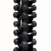 Body Iron Commercial 135kg Hex Dumbbell Package -World Fitness hexdumbbellsondumbbellstand d85cc264 181c 46bc afd5 dc70f94fe23f